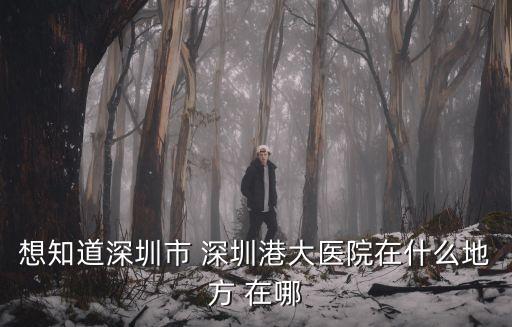 想知道深圳市 深圳港大醫院在什么地方 在哪