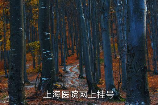 預(yù)約掛號(hào)電話 上海市，上海醫(yī)院網(wǎng)上掛號(hào)