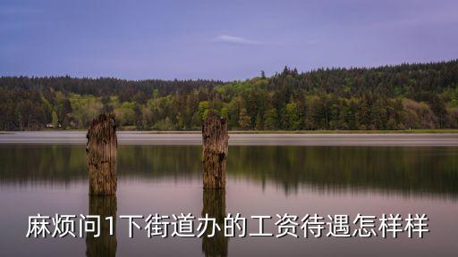 深圳街道辦窗口待遇，麻煩問1下街道辦的工資待遇怎樣樣