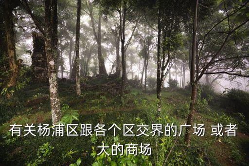 有關楊浦區跟各個區交界的廣場 或者大的商場