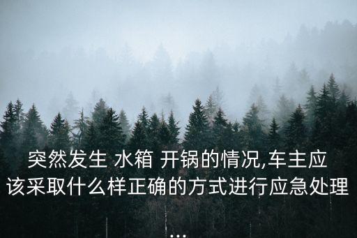 突然發生 水箱 開鍋的情況,車主應該采取什么樣正確的方式進行應急處理...