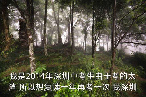 2014 深圳高中復讀，在深圳高級中學可不可以復讀