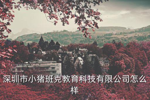 深圳市小豬班克教育科技有限公司怎么樣