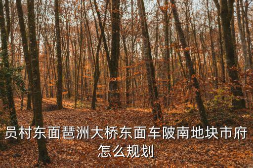 員村東面琶洲大橋東面車陂南地塊市府怎么規(guī)劃