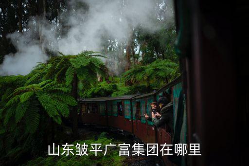 廣州富力集團山東公司，富力地產(chǎn)下屬公司有哪些