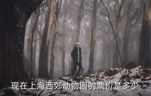 現在上海西郊動物園的票價是多少