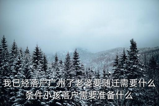 廣州戶籍市內(nèi)遷移兒童，廣州戶口區(qū)內(nèi)調(diào)遷爸爸戶口在東山兒子和媽媽戶口在天河區(qū)現(xiàn)兒
