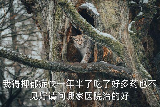 上海市精神衛生中心治抑郁癥，抑郁癥 精神分裂癥
