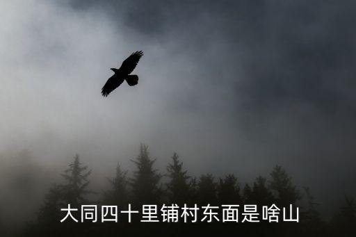 大同烏龍峽