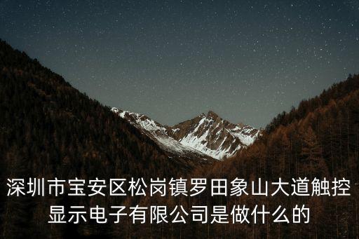 深圳市寶安區(qū)松崗鎮(zhèn)羅田象山大道觸控顯示電子有限公司是做什么的