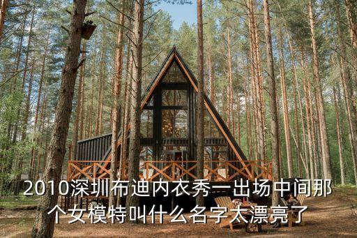2010深圳布迪內衣秀一出場中間那個女模特叫什么名字太漂亮了