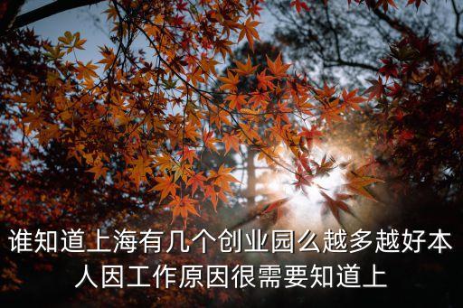 誰知道上海有幾個創業園么越多越好本人因工作原因很需要知道上