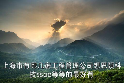 上海市有哪幾家工程管理公司想思頤科技ssoe等等的最好有