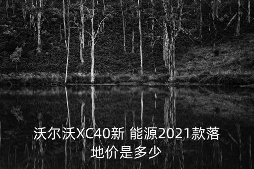 沃爾沃XC40新 能源2021款落地價是多少