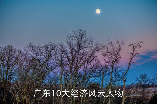 廣州民企風云人物，廣東10大經濟風云人物