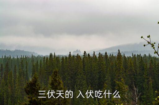 三伏天的 入伏吃什么