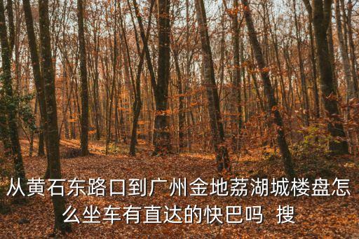 從黃石東路口到廣州金地荔湖城樓盤怎么坐車有直達的快巴嗎  搜