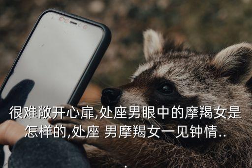 處女男摩羯女