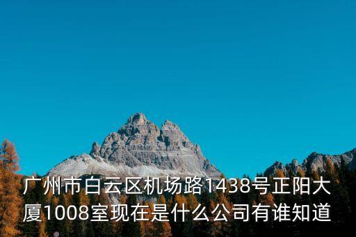 廣州市白云區(qū)機場路1438號正陽大廈1008室現(xiàn)在是什么公司有誰知道