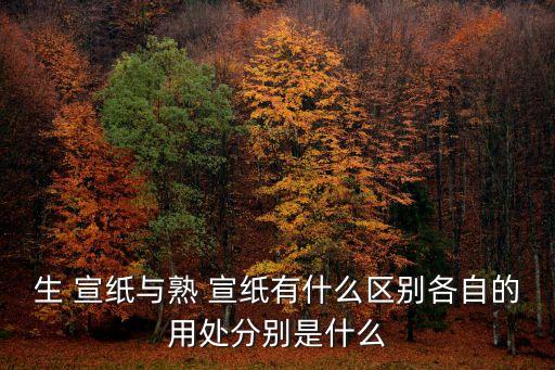 熟宣紙