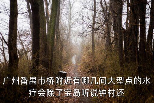 廣州番禺市橋附近有哪幾間大型點的水療會除了寶島聽說鐘村還