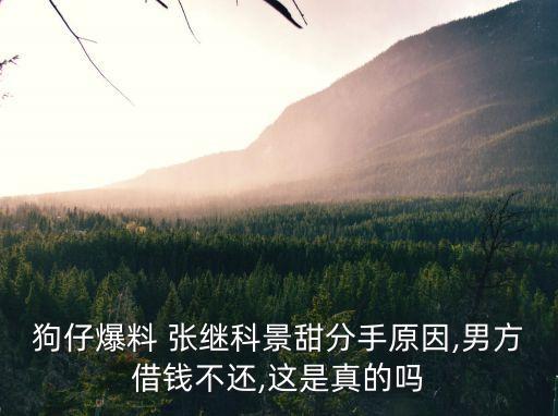 張繼科女友,張繼科兩任前女友景甜是繼科女友嗎?