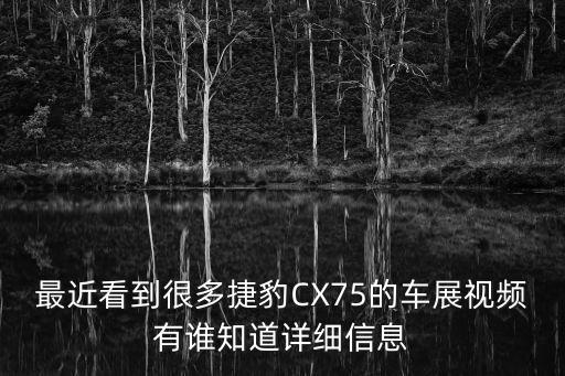 最近看到很多捷豹CX75的車(chē)展視頻有誰(shuí)知道詳細(xì)信息