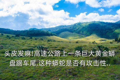 巖蟒,巨蟒有多厲害?應該比蟒厲害一些