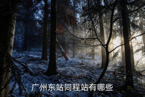 廣州東站同性基地，廣州火車站有同志聚集點嗎
