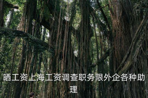 曬工資上海工資調查職務限外企各種助理