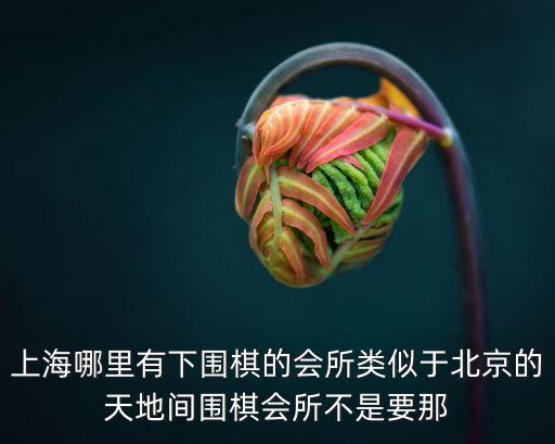 上海市奉賢弈海圍棋俱樂部，上海哪里有下圍棋的會所類似于北京的天地間圍棋會所不是要那