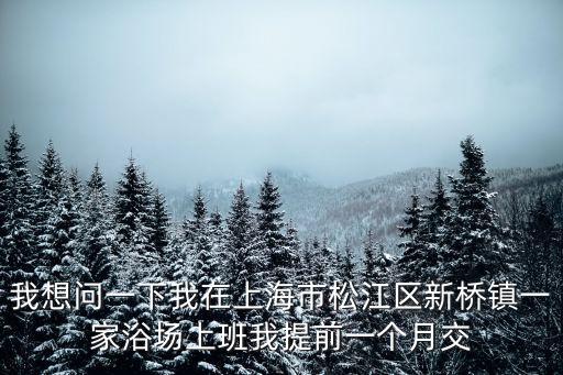 上海市松江區新橋鎮貨拉拉，上海市松江區新橋鎮到南京西路久光百貨打車多少錢