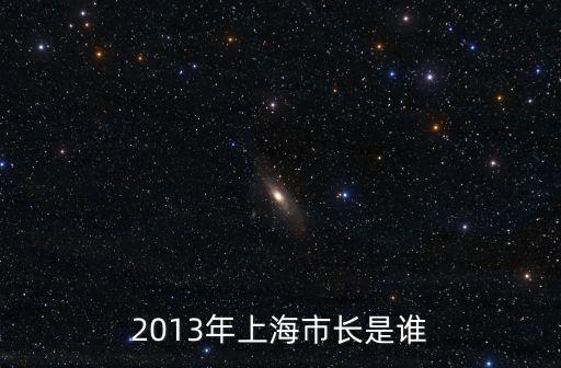 2013年上海市長是誰