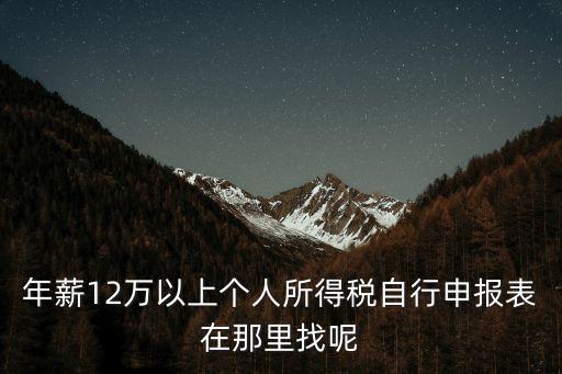 年薪12萬(wàn)以上個(gè)人所得稅自行申報(bào)表在那里找呢