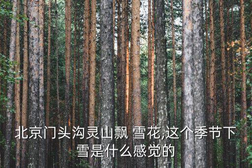 北京門頭溝靈山飄 雪花,這個季節(jié)下雪是什么感覺的
