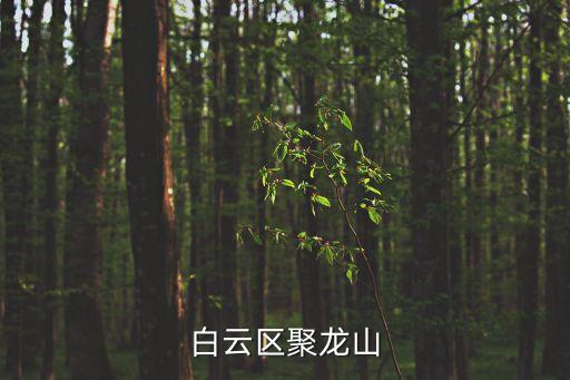 廣州白云區森林公園，白云區聚龍山