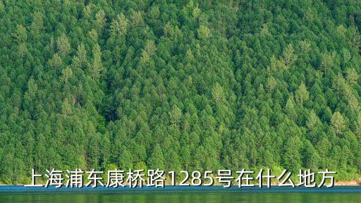 上海市東康路，上海浦東康橋路1285號(hào)在什么地方