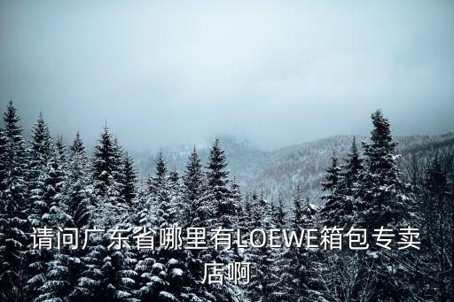 請問廣東省哪里有LOEWE箱包專賣店啊
