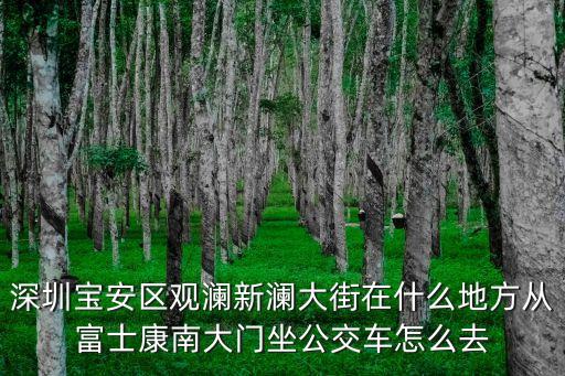 深圳寶安區觀瀾新瀾大街在什么地方從富士康南大門坐公交車怎么去