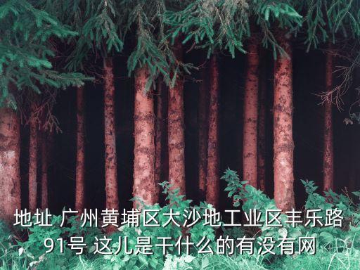 地址 廣州黃埔區大沙地工業區豐樂路91號 這兒是干什么的有沒有網