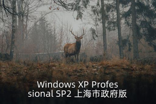Windows XP Professional SP2 上海市政府版