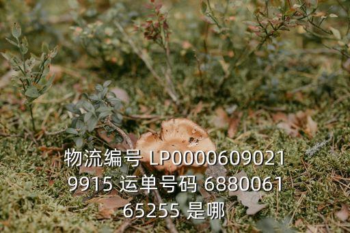 上海市場部快遞已收件，我在天貓上買的東西顯示上海劉明軍公司已收件這什么意思怎么