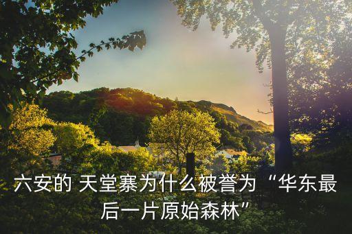 六安的 天堂寨為什么被譽為“華東最后一片原始森林”