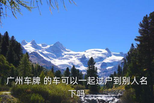 廣州兩輛車互相過戶，廣州車牌 的車可以一起過戶到別人名下嗎