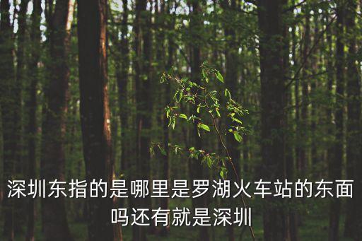 深圳東站東站內(nèi)圖片，深圳東火車站
