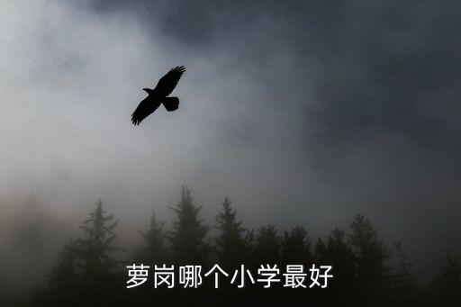 蘿崗哪個(gè)小學(xué)最好