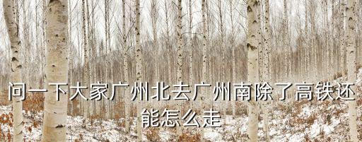 問一下大家廣州北去廣州南除了高鐵還能怎么走