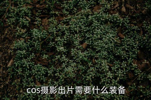 cos道具