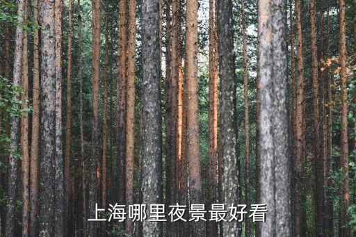 上海市夜景最美的地點(diǎn)，上海哪里的夜景最美