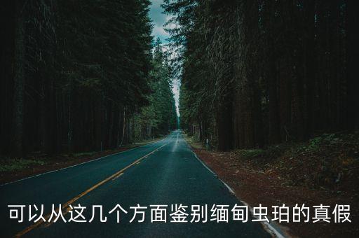 可以從這幾個(gè)方面鑒別緬甸蟲珀的真假